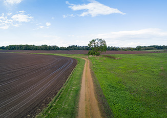 Long country road