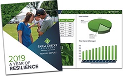 2019 Annual Report - Farm Credit Illinois