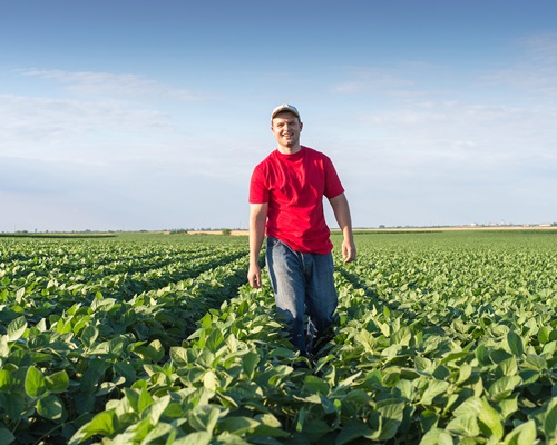 Cooperative Value Soybean Farmer