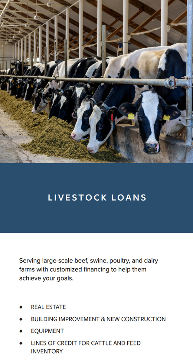 Livestock loans farm credit illinois