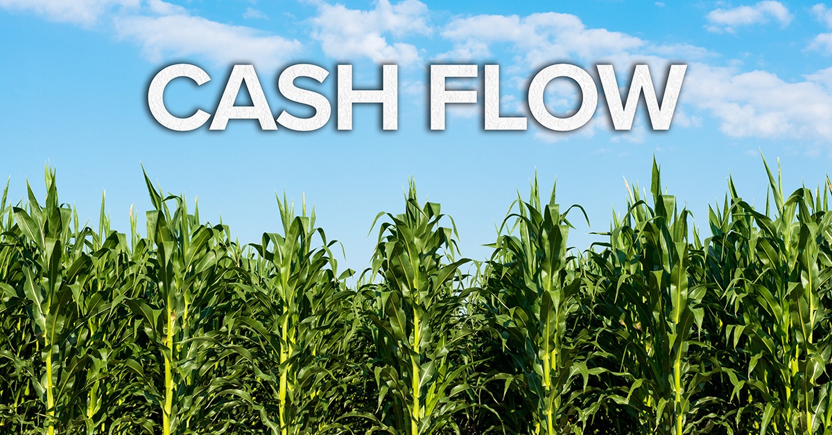 cornfield with cash flow text in sky