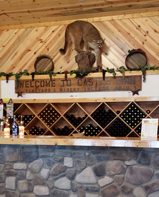 Castle Finn Winery Front Counter