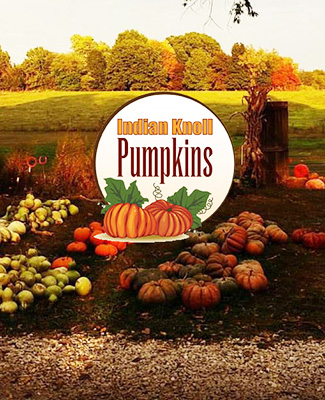Indian Knoll Pumpkins