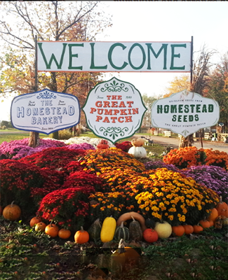 The 200 Acres in Arthur IL