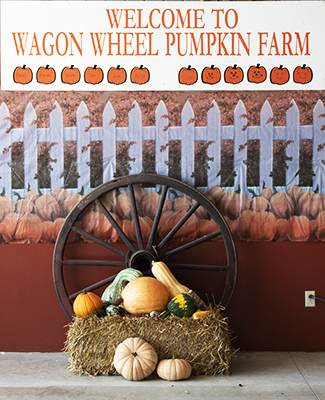 Wagon Wheel Pumpkin Farm