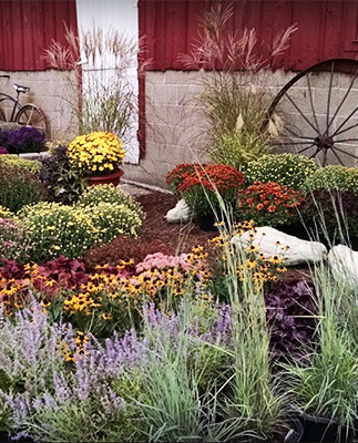 Windmill Gardens bike